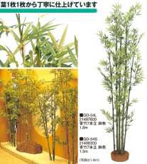 画像1: 人工植物　青竹7本立　鉢無 (1)