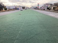 画像6: 防草植樹ニューマット　Hタイプ　50ｍ巻　谷口産業 (6)