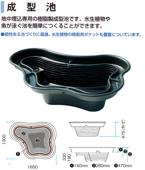 成型池　ドルフィン