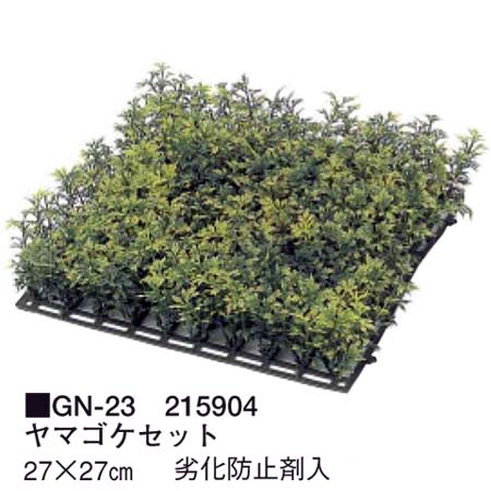 人工植物　ヤマゴケセット