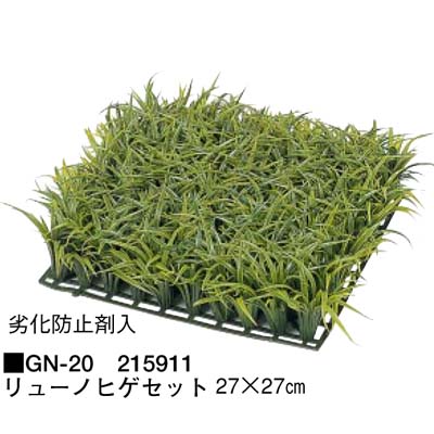 人工植物　リューノヒゲセット